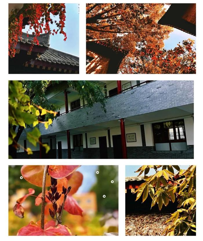 助学助力促成长，同心同向待花开 ——记西安市第八十九中学高一高二上学期家长会