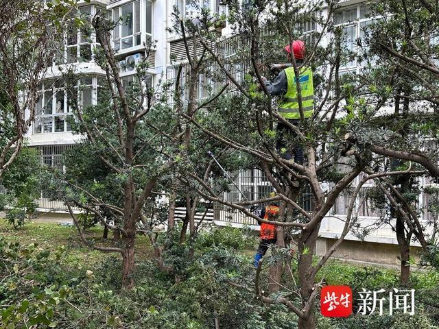 娄东街道：党建引领“四方协同”，办好实事提升效能