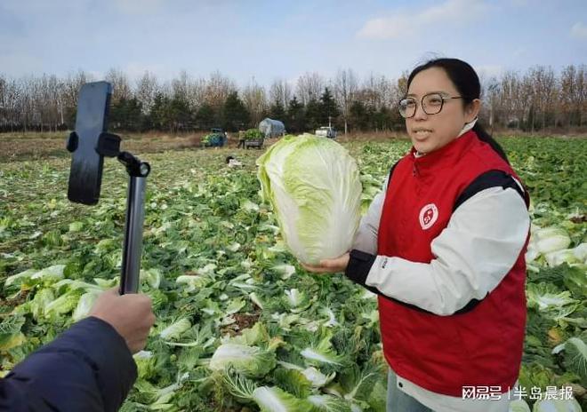 供销社电商直播助销大白菜