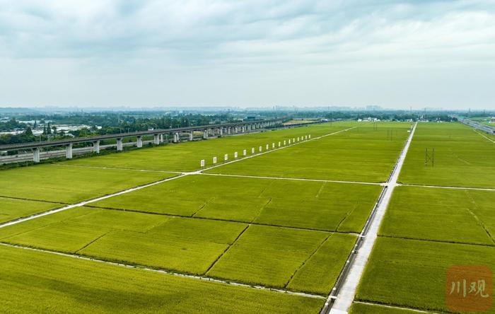 学习运用“千万工程”经验 铺展蜀乡振兴新画卷丨奋力谱写中国式现代化四川新篇章