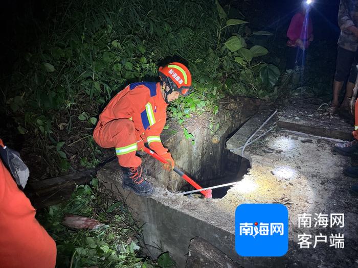 黄牛失足掉入蓄水池 五指山消防大队开展救援