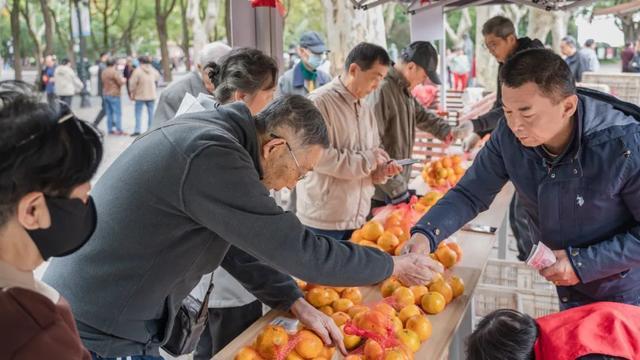 长兴柑橘香飘市区公园，价格是……