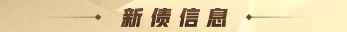 A股特别提示（11-20）：针对财务造假顽疾，今年前10个月查办相关案件658件罚没款金额110亿