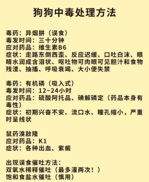 广州多区出现宠物狗中毒事件 出门遛狗要注意这些事项