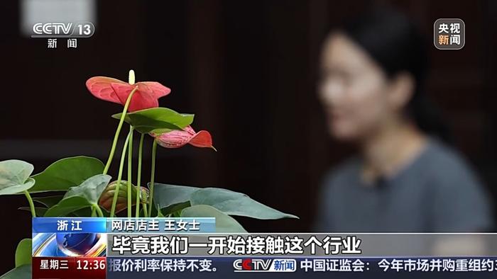 花钱就能“转评赞” 揭秘网络水军如何造“人气”