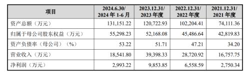 举债一个亿增持，承诺60个月不减持，报告期业绩暴增，北大学霸携“芯片医院”冲刺科创板