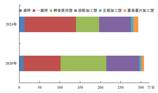 “薯”经济上线|定西种薯繁育体系持续完善 本地兼用型种薯需求强劲