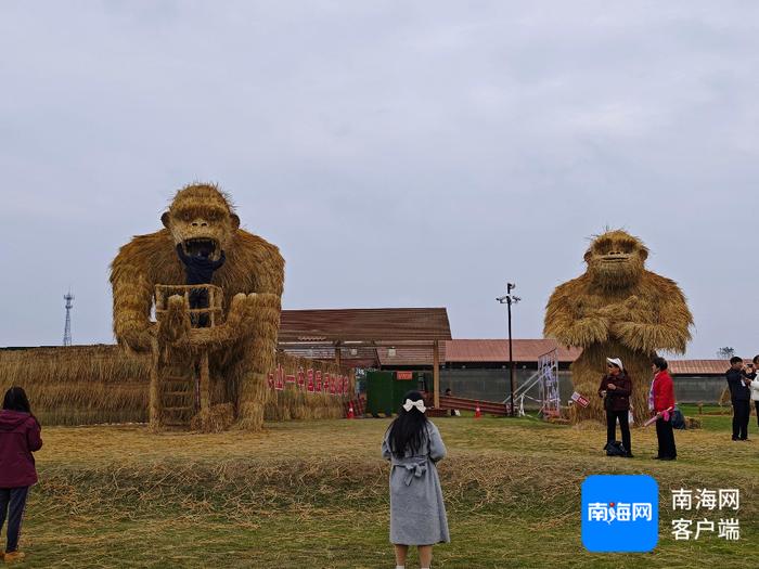 奔向现代化丨“中华城祖·世界稻源”城头山稻草编出奇幻世界