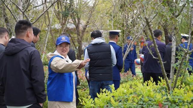 2项崇明区首个，事关乡村民宿！