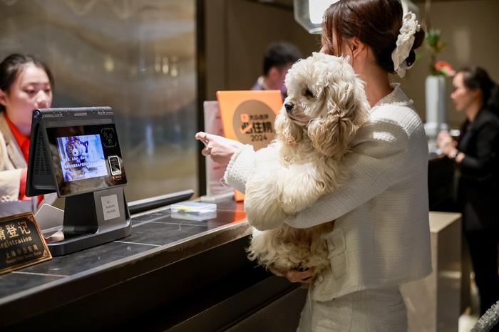 可携宠物入住！沪上酒店瞄准携宠出行痛点，上线“宠物友好”服务