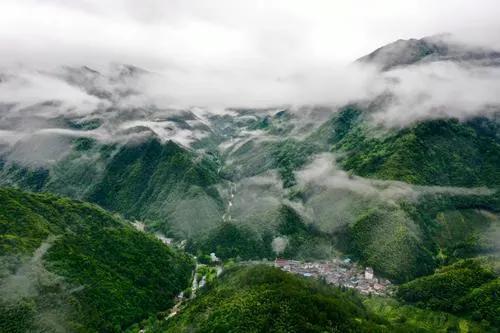 生态产品价值如何实现？南平这场会上，他们这样说→