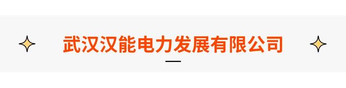 【中广核旗下】武汉汉能电力发展有限公司招聘计划