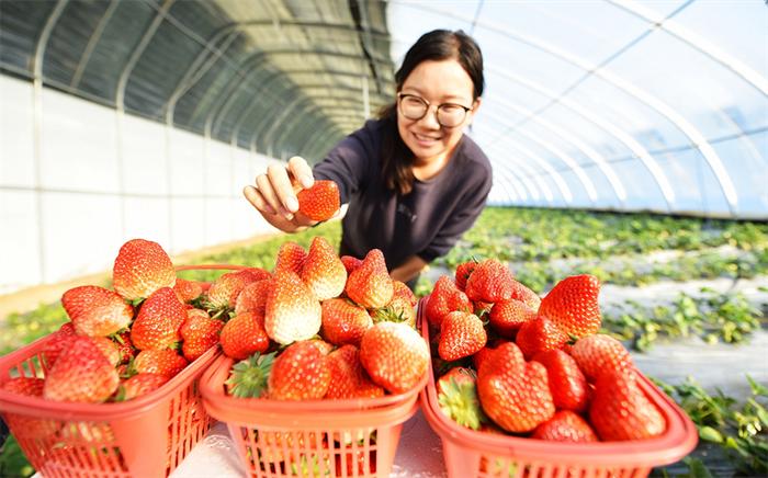 定州：现代农业助力乡村全面振兴