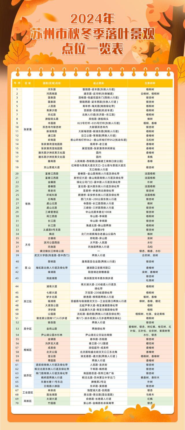 秋日限定浪漫！江苏多地开启“落叶不扫”模式