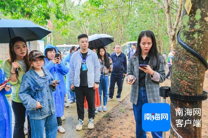 全国网媒行走进海胶智造阳江实验基地