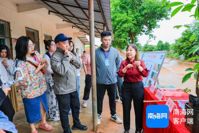 全国网媒行走进海南橡胶邦溪种苗基地：良种良苗育出橡胶好“长势”