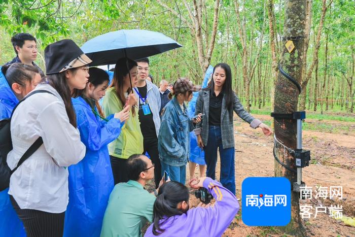 全国网媒行走进海胶智造阳江实验基地