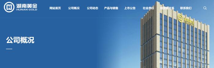 突然就涨停，近8万股民嗨翻！价值6000亿元的金矿在本省被发现，市值200亿公司回应：矿不是我们的，是股东的