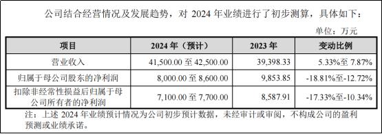 胜科纳米将上会，“芯片全科医院”是门什么生意？