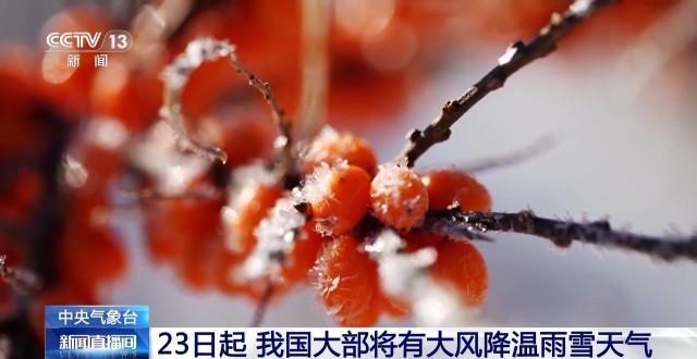 今日小雪|气寒将雪，今冬首场寒潮携大范围雨雪登场，该翻出羽绒服了