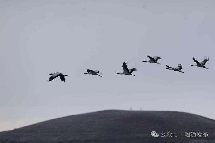 寻找云南配色 | 白·开启冬日的画卷