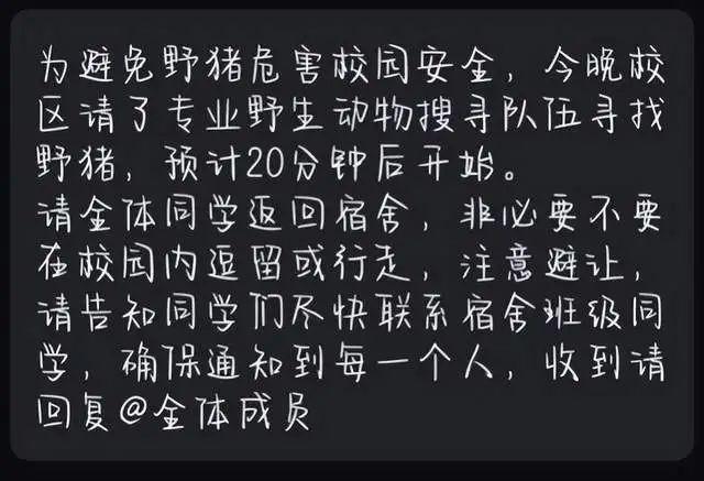 武汉一大学内出现野猪，横冲直撞！校方回应