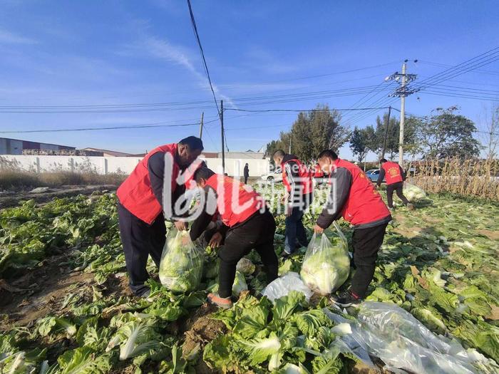 点赞河北｜沧州这群“红马甲”，连续4年帮残疾老人收菜卖菜