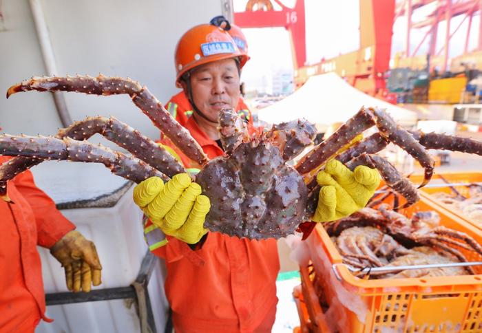 连云港港首次整船进口帝王蟹