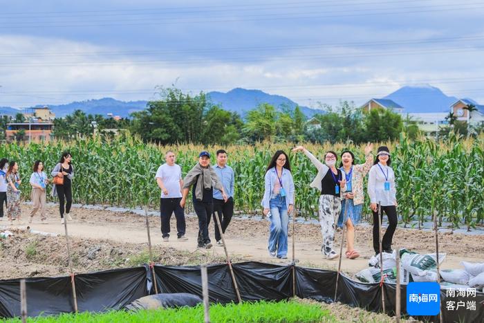 网媒行走进海垦南繁育种基地：提升品种“含新量” 撬动市场“含金量”