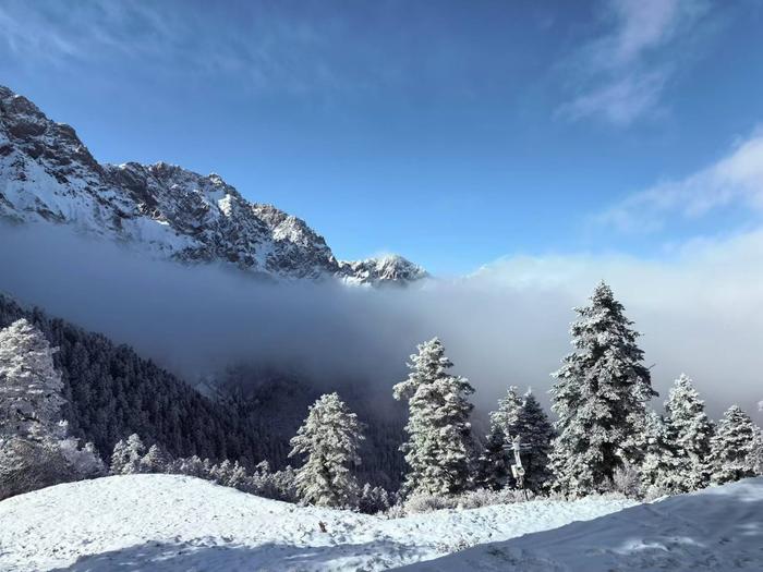 千家旅行社来官鹅沟踩线   雷古山雪景打造冬季旅游热