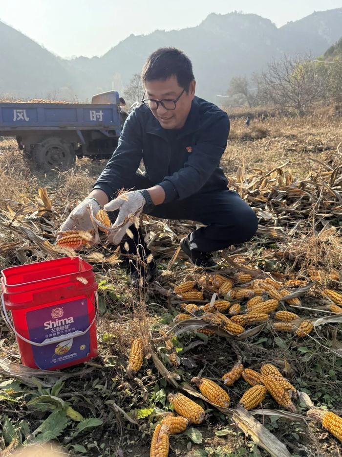 把梦想种在土门村！他是北工大驻村第一书记张洪彬