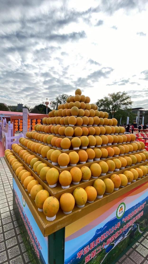 万亩脐橙开摘“橙”就美好“钱”景 梅州市平远县举办第二十届脐橙文化旅游系列活动