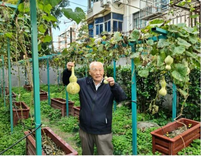 Ta们在小区里种葫芦……