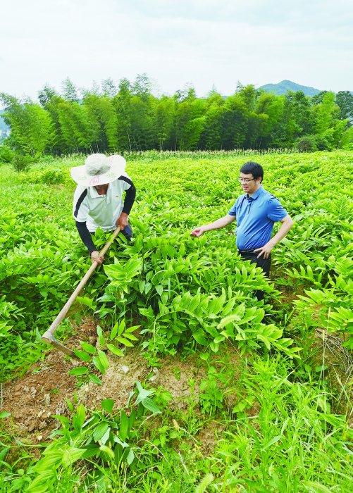 积极铸就湖湘中药新辉煌——湖南省药监局创新监管模式助力中药产业高质量发展纪实