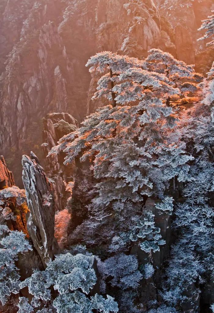 都“小雪了”，黄山冬雪还会远吗？