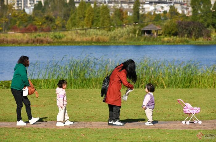 【高清组图】冬日限定 到昆明西亮塘湿地赴一场色彩盛宴