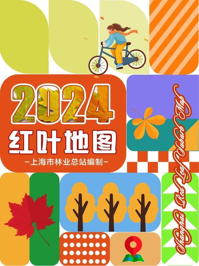 2024版红叶地图上线，崇明观赏点在哪里？