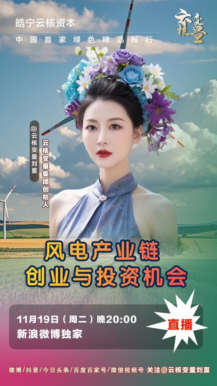 刘夏：风电产业链 创业与投资机会