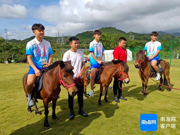 四匹矮马，打开民族文化交流之窗