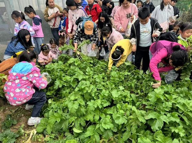 探索绿色发展与经济建设的新路径，“生态岛”开出了“致富花”