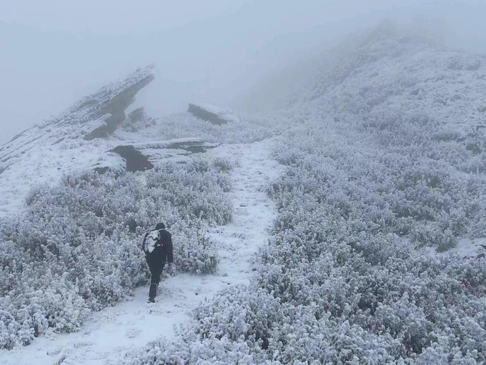 C视频丨雾凇雪景宛若童话世界！广元迎今冬第二场雪