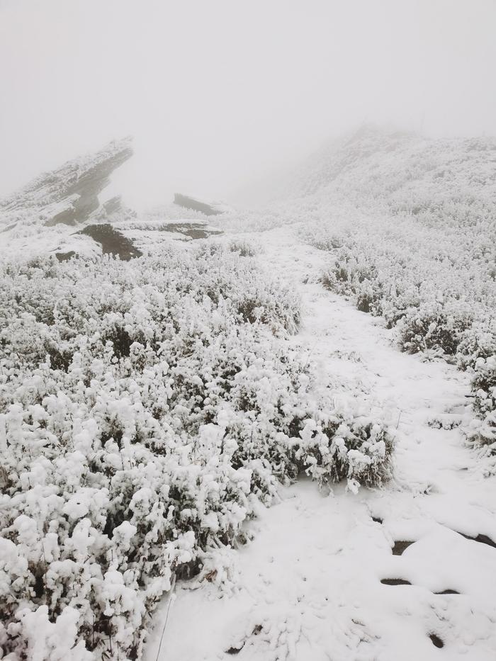 C视频丨雾凇雪景宛若童话世界！广元迎今冬第二场雪