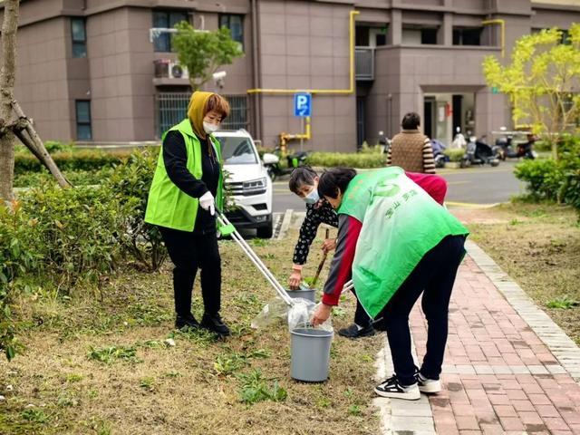 刷新社区“高颜值”，他们在行动~