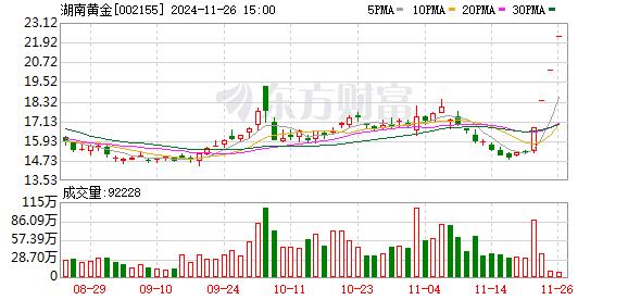 6000亿金矿项目？湖南黄金再度发声：即使收购成功 考虑成本因素后每股收益有限