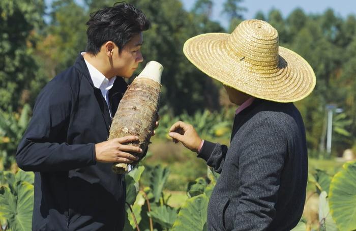 CoCo都可荣获中国食品健康七星奖