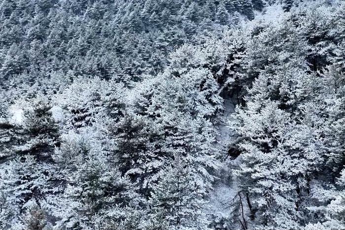 下雪啦！来看长治“水墨”太行山