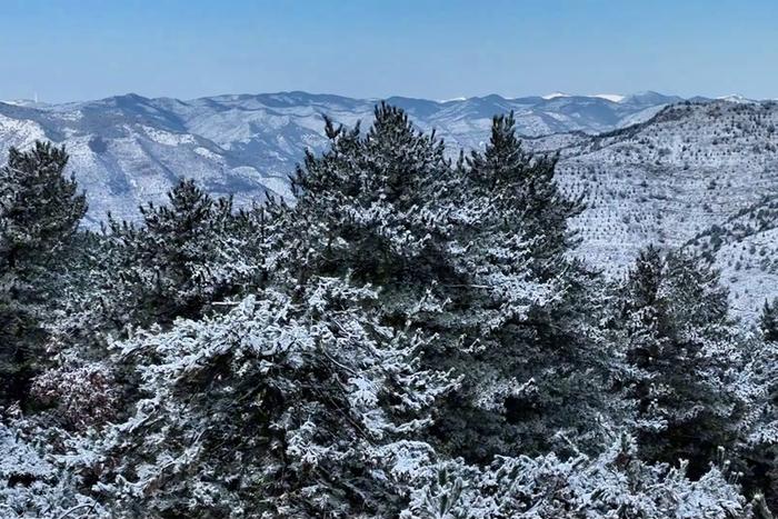 下雪啦！来看长治“水墨”太行山