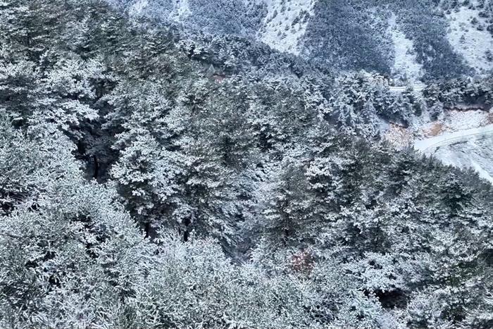 下雪啦！来看长治“水墨”太行山