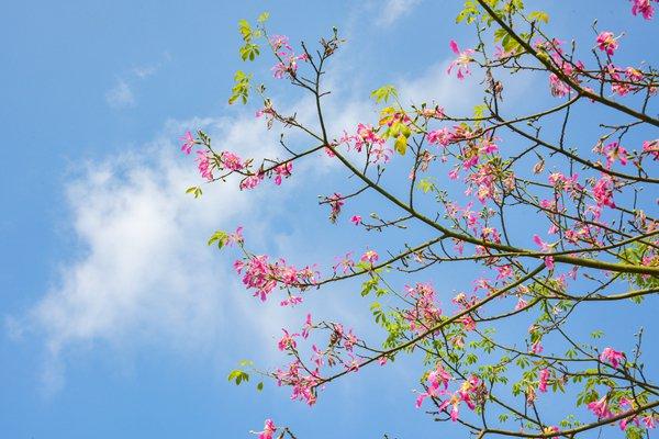 镜头丨大美11月