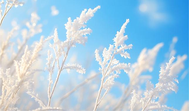 【廊廊报天气】今夜廊坊市局部地区迎降雪